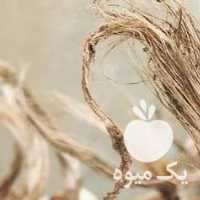 فروش پیاز زعفران تربت حیدری در مشهد در گروه خرید فروش عمده زعفران - قائنات قیمت خراسان بهرامن گرم در یکمیوه