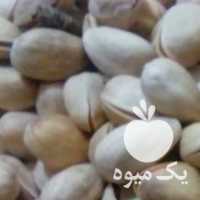 فروش پسته مغز سبز پذیرای در قزوین در گروه پسته - کوهی شامی خام اکبری تازه کله قوچی در یکمیوه