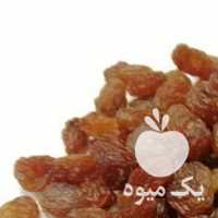 فروش عمده کشمش __ صادراتی در قزوین در گروه آجیل - فروش عمده محصولات در یکمیوه