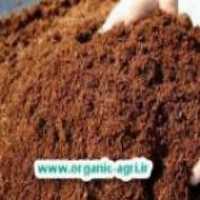 فروش بسترکشت نشاء کوکوپیت ایرانی در فارس در گروه خرید فروش نشا - انواع گوجه برنج کاهو پیاز کاری فرنگی در یکمیوه