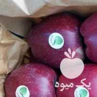 فروش سیب قرمز و سفید صادراتی در ارومیه در گروه خرید فروش عمده سیب - زرد و قرمز گلاب پاییزه در یکمیوه