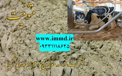 فروش بنتونیت بستر دام و طیور در تهران در گروه خرید و فروش عمده انواع محصولات کشاورزی و دامداری در یکمیوه -عکس1
