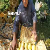 فروش قدیمیترین حق العمل کاری تهران و در گروه حق العمل کاری محصولات کشاورزی و دامداری خدمات کارمزد در یکمیوه