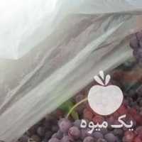 فروش انگور سعدی در شیراز در گروه خرید فروش عمده انگور - یاقوتی شانی عسگری بی دانه قرمز در یکمیوه