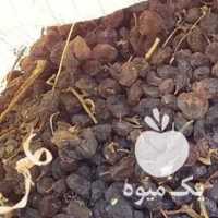 فروش کشمش آفتابی سم نخورده در قزوین در گروه آجیل - فروش عمده محصولات در یکمیوه