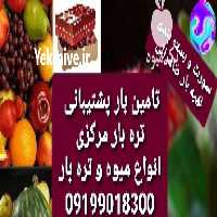 فروش تامین بار پشتیبانی صادراتی و تره بار مرکزی تهران و دیگر شهرها در گروه حق العمل کاری محصولات کشاورزی و دامداری خدمات کارمزد در یکمیوه