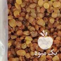 فروش عمده انواع کشمش با کیفیت صادراتی در تهران در گروه آجیل - فروش عمده محصولات در یکمیوه