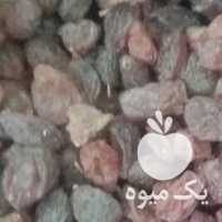 فروش کشمش بیدانه آفتابی ملایر در تهران در گروه آجیل - فروش عمده محصولات در یکمیوه