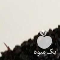 فروش زرشک ابگیری صدرصد طبیعی عمده وجزی در تهران در گروه خرید فروش عمده ازگیل و تمشک و زرشک - ژاپنی فروش مستقیم در یکمیوه