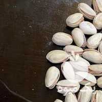 فروش پسته رفسنجان در تهران در گروه پسته - کوهی شامی خام اکبری تازه کله قوچی در یکمیوه