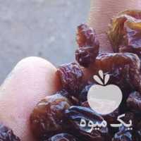 فروش کشمش سرکه ای ورامین در تهران در گروه آجیل - فروش عمده محصولات در یکمیوه