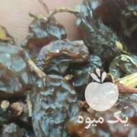 فروش کشمش مویز افتابی و ارگانیک ضایعاتی خرما در تهران در گروه عسل شیره و فرآورده ی مربا - طبیعی گون کوهی آویشن در یکمیوه