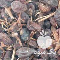 فروش کشمش فخری عسگری بیدانه در قزوین در گروه آجیل - فروش عمده محصولات در یکمیوه