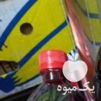 فروش عمده وجزئی آب انار و زرشک و البالو در مشهد در گروه خرید فروش عمده انار - ساوه شیراز شیرین ترش در یکمیوه