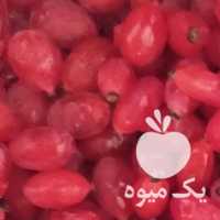 فروش انواع زرشک امسالی در بیرجند در گروه خرید فروش عمده ازگیل و تمشک و زرشک - ژاپنی فروش مستقیم در یکمیوه