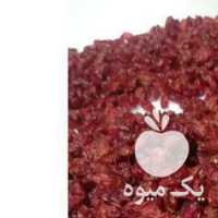 فروش زرشک دونه اناری ارگانیک در تهران در گروه خرید فروش عمده ازگیل و تمشک و زرشک - ژاپنی فروش مستقیم در یکمیوه