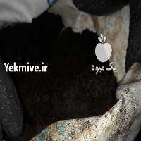 فروش فروش کود خفاش   در تهران در گروه خرید فروش کود و مواد شیمیایی - اوره پتاس مرغی کمپوست آهن در یکمیوه