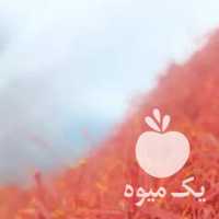 زعفران هل و زرشک به صورت کلی و جزعی خرید و فروش در مشهد در گروه خرید فروش عمده زعفران - قائنات قیمت خراسان بهرامن گرم در یکمیوه