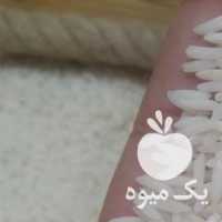 فروش برنج طارم در رشت در گروه خرید فروش عمده برنج - نیم دانه عنبر بو هاشمی کاظمی هندی پاکستانی در یکمیوه
