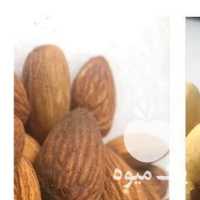 فروش بادام زمینی کره گیری در تهران در گروه بادام - درختی کوهی زمینی فروش عمده در یکمیوه