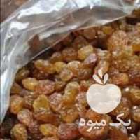 فروش عمده کشمش تیزابی و طلایی و آفتابی در تهران در گروه آجیل - فروش عمده محصولات در یکمیوه