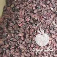 فروش زرشک جهت آبگیری و یا مصرف آشپزخانه در مشهد در گروه خرید فروش عمده ازگیل و تمشک و زرشک - ژاپنی فروش مستقیم در یکمیوه