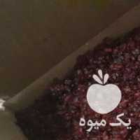 فروش زرشک اناری رستورانها واشپزخانه در مشهد در گروه خرید فروش عمده ازگیل و تمشک و زرشک - ژاپنی فروش مستقیم در یکمیوه