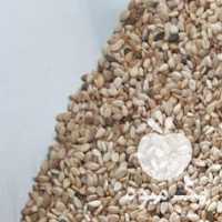 فروش کنجد روغن گیری و بادام زمینی کره در تهران در گروه انواع روغن - آفتابگردان کنجد سویا در یکمیوه