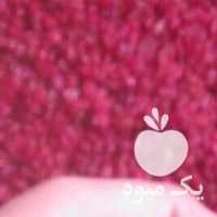 فروش زرشک اناری و پفکی معمولی و صادراتی درتهران در گروه خرید فروش عمده ازگیل و تمشک و زرشک - ژاپنی فروش مستقیم در یکمیوه