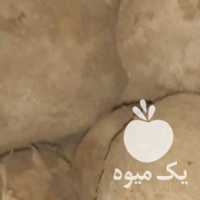 فروش سیب زمینی بذری در همدان در گروه خرید فروش عمده سیب زمینی - زودرس دیررس آگریا اسپریت اردبیل همدان در یکمیوه