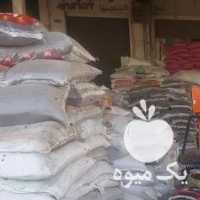 فروش سلطان کشمش افتابی و سایه خشک بار جدید رسید در تهران در گروه آجیل - فروش عمده محصولات در یکمیوه