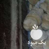 فروش کشک تلف گوسفندی تازه در مراغه در گروه انواع فرآورده های لبنی و حیوانی - ماست کره فروش عمده در یکمیوه