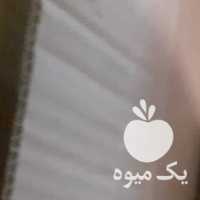 فروش پسته فندقی انس 28 _30 در تهران در گروه پسته - کوهی شامی خام اکبری تازه کله قوچی در یکمیوه