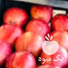 فروش سیب قرمز در ارومیه در گروه خرید فروش عمده سیب - زرد و قرمز گلاب پاییزه در یکمیوه -عکس1