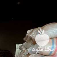 فروش عمده و جزیی چای ایرانی ، خارجی و ماسالا در تهران در گروه خرید فروش عمده چای - سبز ترش کوهی سیاه در یکمیوه