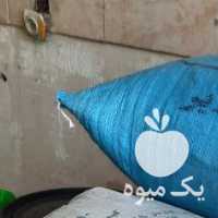 فروش کشمش آفتابی پلویی خاکی ملایر طبیعی بدون هسته یکدست در تهران در گروه آجیل - فروش عمده محصولات در یکمیوه