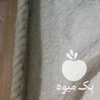 فروش برنج معطر گیلان در رشت در گروه خرید فروش عمده برنج - نیم دانه عنبر بو هاشمی کاظمی هندی پاکستانی در یکمیوه