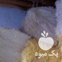 فروش پوشال سیب در ارومیه در گروه خرید فروش عمده سیب - زرد و قرمز گلاب پاییزه در یکمیوه