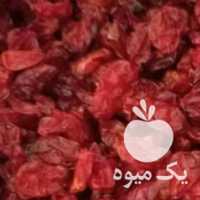 فروش زرشک فقط 30 ت در بیرجند در گروه خرید فروش عمده ازگیل و تمشک و زرشک - ژاپنی فروش مستقیم در یکمیوه