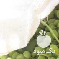 فروش قوره انگور غوره انگور اب قوره اب غوره در قزوین در گروه خرید فروش عمده انگور - یاقوتی شانی عسگری بی دانه قرمز در یکمیوه