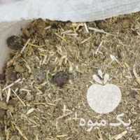 فروش کود گوسفندی خشک و تمیز در یزد در گروه خرید فروش کود و مواد شیمیایی - اوره پتاس مرغی کمپوست آهن در یکمیوه