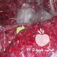 فروش زرشک کوهی یا زارچ محلی در بیرجند در گروه خرید فروش عمده ازگیل و تمشک و زرشک - ژاپنی فروش مستقیم در یکمیوه