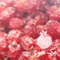 فروش زرشک صادراتی بدون واسطه در مشهد در گروه خرید فروش عمده ازگیل و تمشک و زرشک - ژاپنی فروش مستقیم در یکمیوه