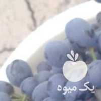 فروش انگور در تهران در گروه خرید فروش عمده انگور - یاقوتی شانی عسگری بی دانه قرمز در یکمیوه