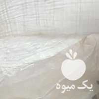 فروش چای بهاره سرگل 1400 در رشت در گروه خرید فروش عمده گیاهان زینتی - گرمسیری آپارتمانی باغچه آب در یکمیوه