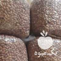 فروش بادام زمینی کره گیری گردو بادام درختی پسته مغز در قم در گروه بادام - درختی کوهی زمینی فروش عمده در یکمیوه