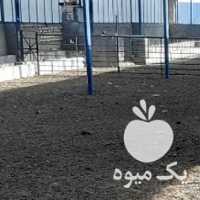 فروش کود گوسفندی در اصفهان در گروه خرید فروش کود و مواد شیمیایی - اوره پتاس مرغی کمپوست آهن در یکمیوه