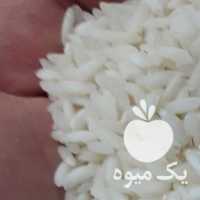 فروش برنج عنبربو در رشت در گروه خرید فروش عمده برنج - نیم دانه عنبر بو هاشمی کاظمی هندی پاکستانی در یکمیوه