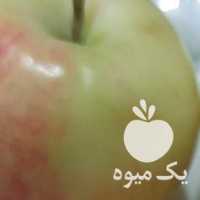 فروش سیب گلابی در ارومیه در گروه خرید فروش عمده سیب - زرد و قرمز گلاب پاییزه در یکمیوه