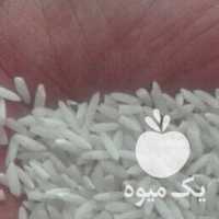 فروش برنج علی کاظمی در رشت در گروه خرید فروش عمده برنج - نیم دانه عنبر بو هاشمی کاظمی هندی پاکستانی در یکمیوه